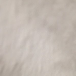 Meet your Posher, Chelsea